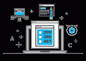 Website hosting